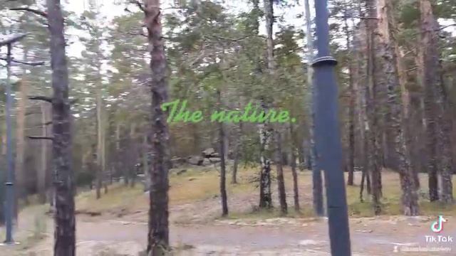 Курорт Боровое. смотреть онлайн