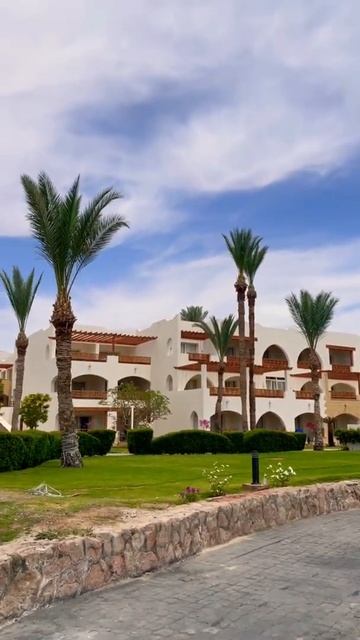 Egypt 2022. Hotel Albatros Royal Grand. Sharm el Sheikh. Red Sea. Египет. Шарм эль Шейх смотреть онлайн