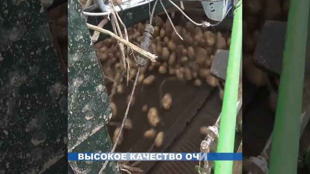 Картофелеуборочный комбайн Колнаг нового поколения, современная картофельная машина производимая РФ смотреть онлайн