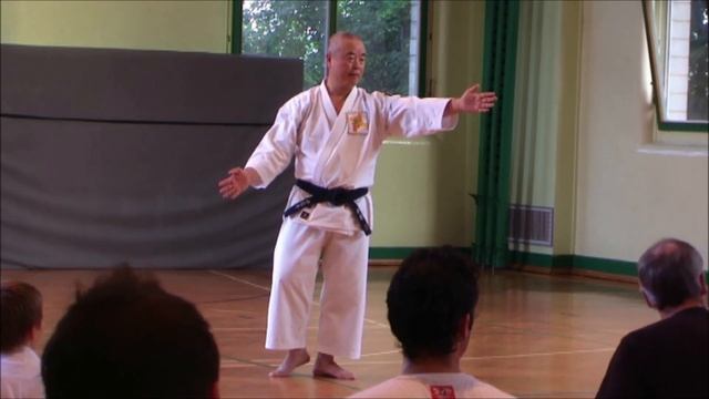 Principle Of Sokuto Geri - Shorinji Kempo (足刀蹴りの基本)