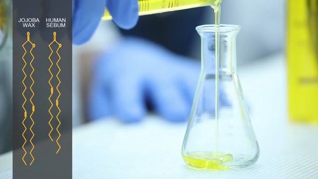 Benefits of Jojoba Oil for Skin and Hair смотреть онлайн