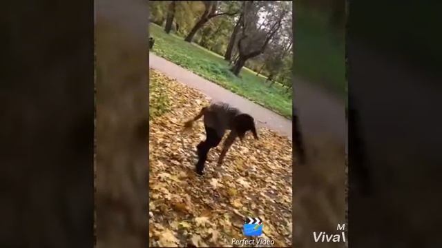 Рустам смотреть онлайн