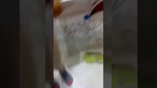 Мой влог/я в кафе смотреть онлайн