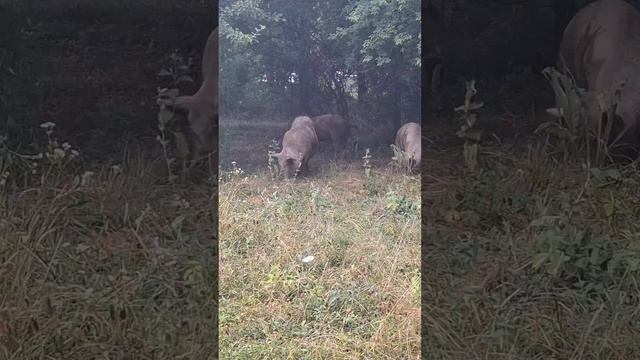Адыгея. Святой источник великомученика Пантелеймона Целителя.💧 ( гора Физиабго) смотреть онлайн