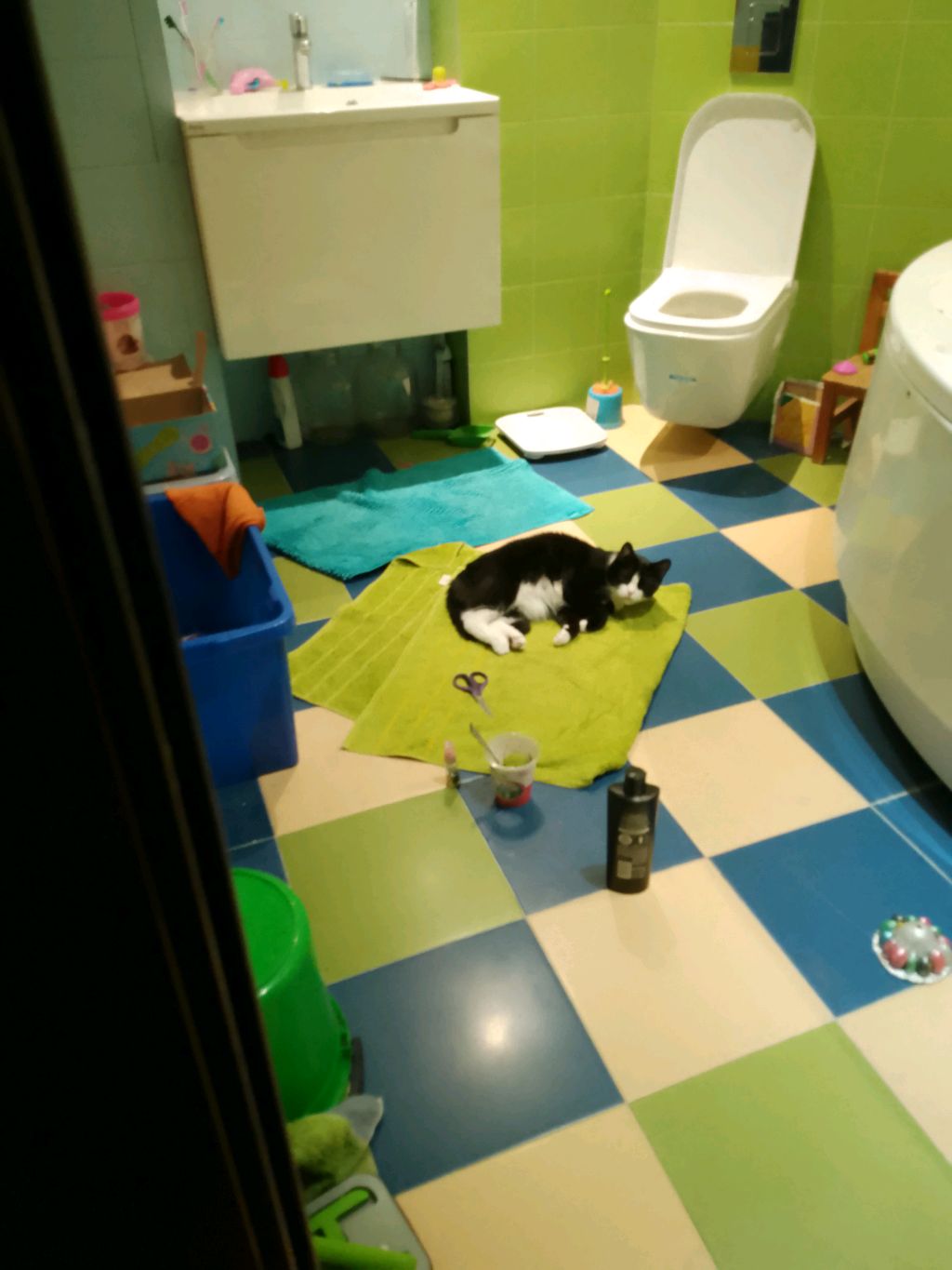кот Сенька😺 смотреть онлайн