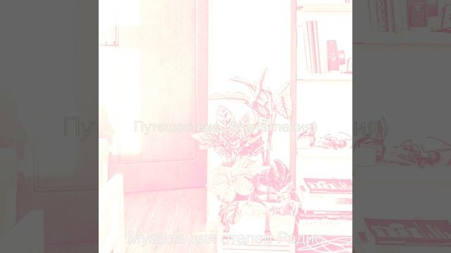 Мечты (Ресторан) смотреть онлайн