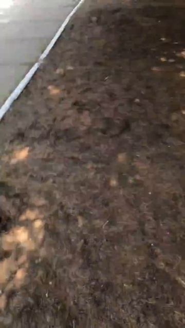 Бомж в лесу на природе смотреть онлайн