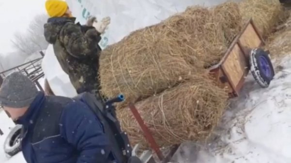 Caterwil 4WD проходимость решает все 🔥🔥🔥