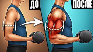 КАК НАКАЧАТЬ РУКИ: ТОП УПРАЖНЕНИЯ НА БИЦЕПС + ТРИЦЕПС