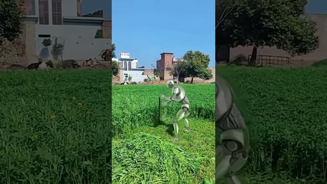 Разнорабочие подсобники в Минске смотреть онлайн