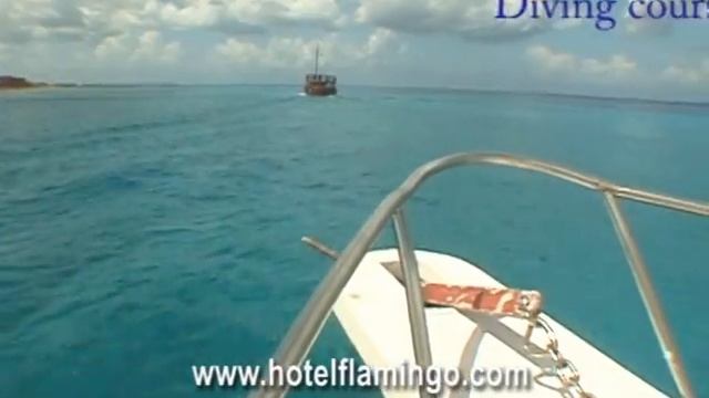 The Flamingo Hotel & Flamingo Divers - Cozumel Mexico смотреть онлайн