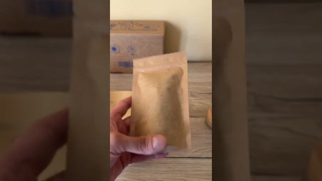 Полный видео-каталог всех наших грибов. смотреть онлайн