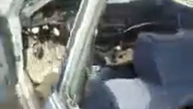 (Нарва) Братан учил долги выбивать! часть 2 смотреть онлайн