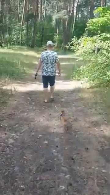 Лепота! смотреть онлайн