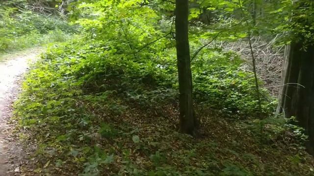 Маршрут вихідного дня.Крехівський монастир,джерело,печери.#монастир#джерело#печери смотреть онлайн