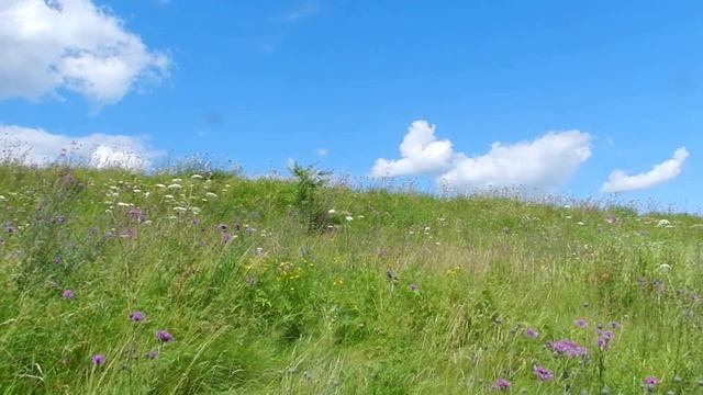 DSCN9388 смотреть онлайн