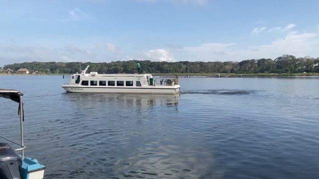 MV Vanessa смотреть онлайн