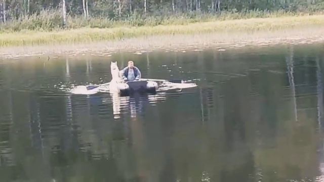С Чезой на лодке смотреть онлайн