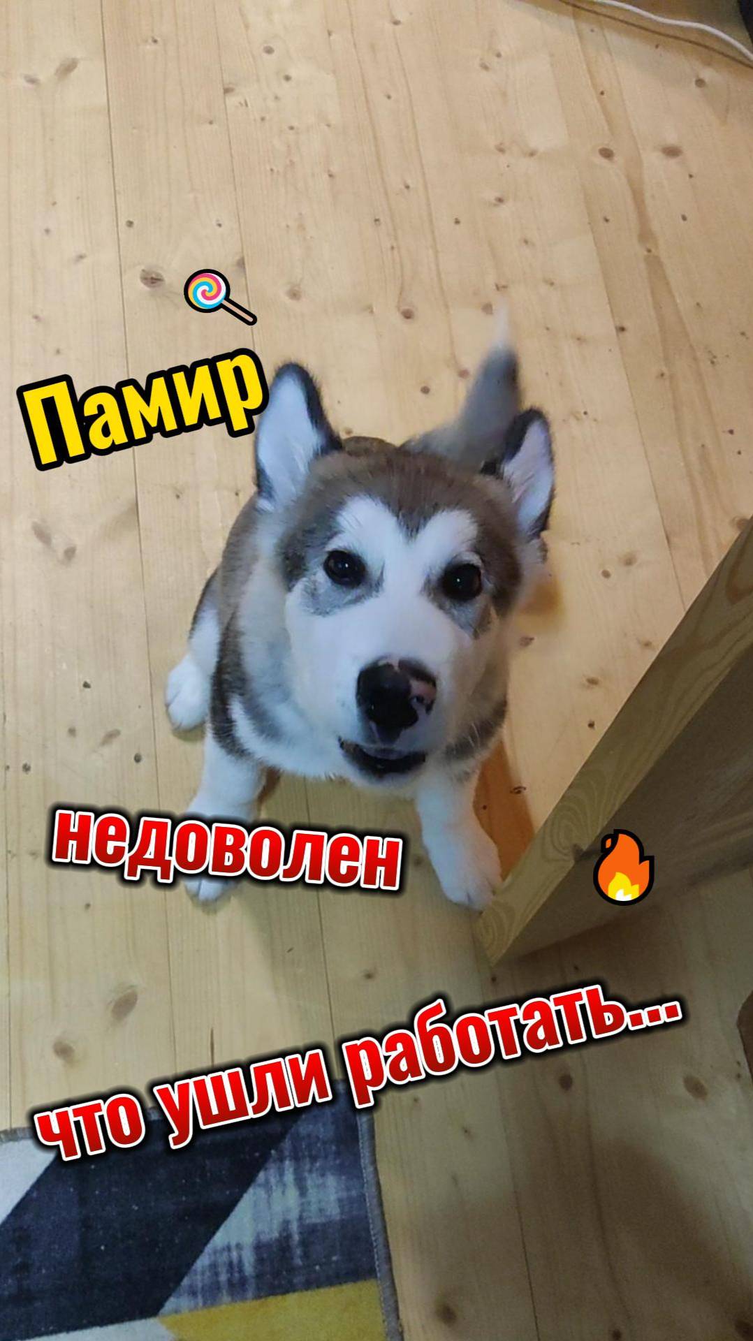 жалуется что оставили