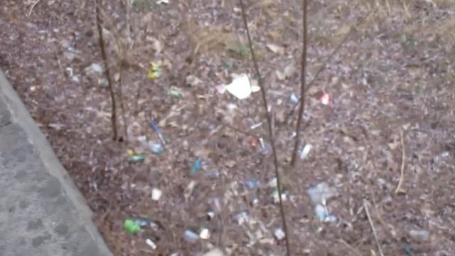 Кисловодск. Уточки на р.Березовой. А рядом..... 7.03.2023 г. смотреть онлайн