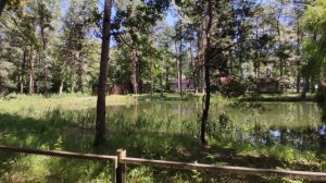 Первое впечатление в санатории "Золотые пески". Беларусь.