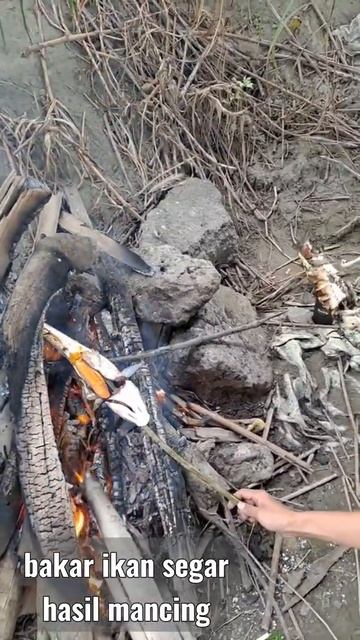 telur ikan belanak di bakar enakkk #short смотреть онлайн
