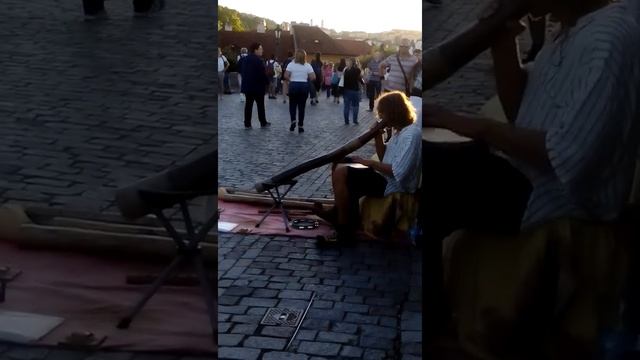Карловий міст в Празі смотреть онлайн