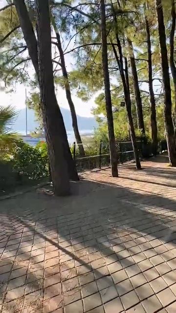 Эгейское море. Турция. Как же хочется обратно где лето, море, солнце смотреть онлайн