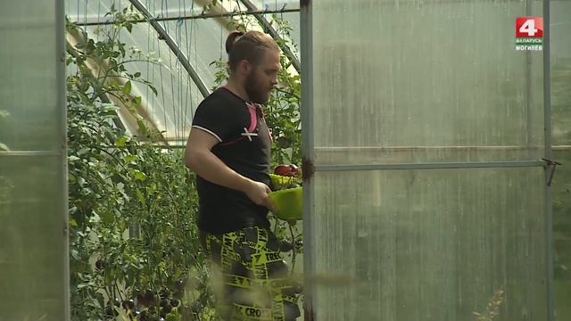 Встретимся у Звездочета 16.08.2022 смотреть онлайн