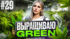 ВЫРАЩИВАЮ НЕЛЕГАЛЬНЫЕ КУСТЫ GREEN В GTA 5 RP MAJESTIC ПУТЬ НОВИЧКА #29