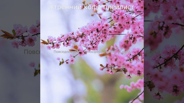 Объем памяти - Весело смотреть онлайн