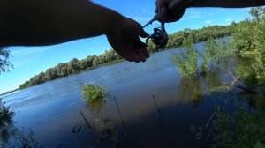 Только забросил ФИДЕР и попёрли ЛЕЩИ ! Ловля ЛЕЩА на ДОНКУ и ФИДЕР! Рыбалка на леща в жару!