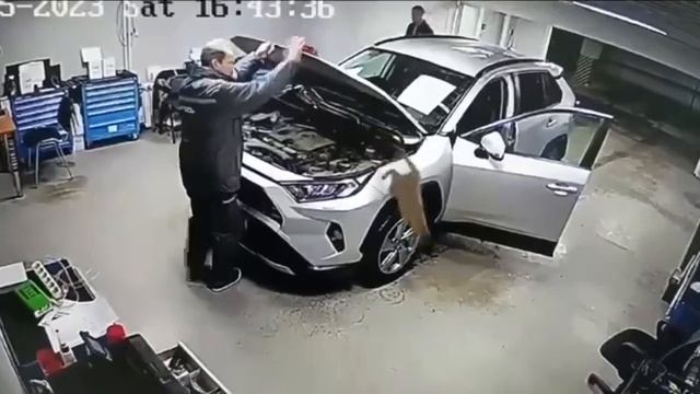 Автомеханики нашли кота под капотом машины, которую привезли в автосервис  🐈