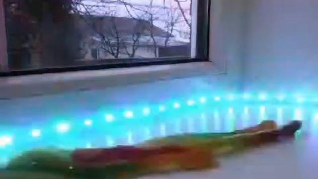 Мир сладостей 1 часть смотреть онлайн