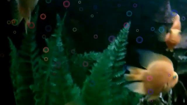 САРИ смотреть онлайн