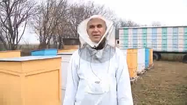 Благодать Пчеловод смотреть онлайн