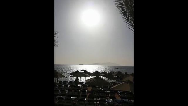 СТОИТ ЛИ ЕХАТЬ Xperience Sea Breeze Resort 5* Об отеле | Шарм Эль Шейх Египет (экспирионс си бриз смотреть онлайн