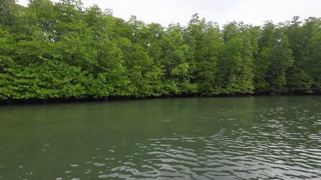 ЗАПРАВКА НА МЕЛКОВОДЬЕ. ПРИКЛЮЧЕНИЯ НА ЯХТЕ ПРОДОЛЖАЮТСЯ ;) смотреть онлайн