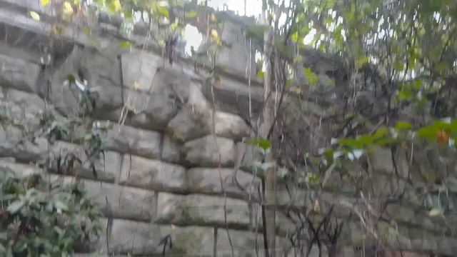 Сигналы времени смотреть онлайн