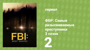ФБР: Самые разыскиваемые преступники 3 сезон 2 серия «Патриоты» (сериал, 2022)