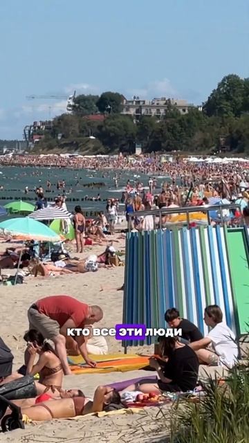 В Калининграде на море пляжи трещат по швам. #калининград #зеленоградск #море #shorts смотреть онлайн