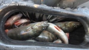 Карелия,Пяозеро рыбалка отдых