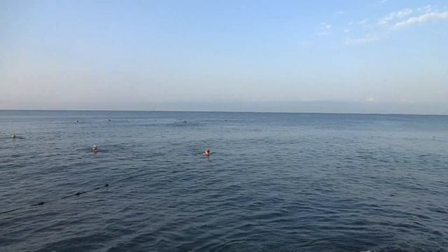 Я на пляже ''Чайка'' Адлерского района города Сочи смотреть онлайн