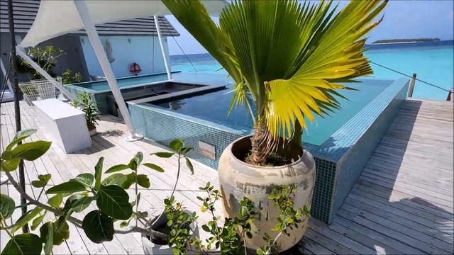 3 Часть. На Мальдивы через Турцию. Май 2024 г. Отель The Standard, Huruvalhi смотреть онлайн