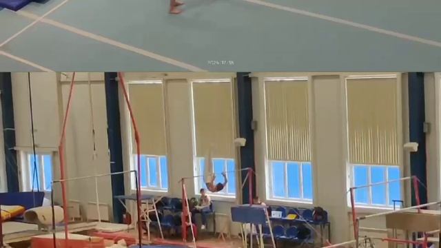 Спортивная гимнастика