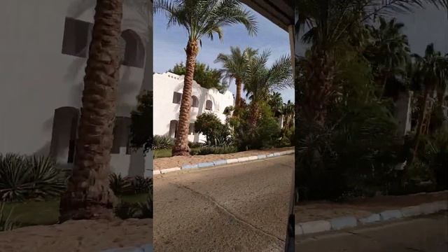 Домина Гарем маршрут 2 смотреть онлайн