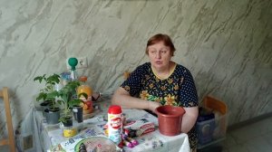 Видео привет.24 апреля Новости дня