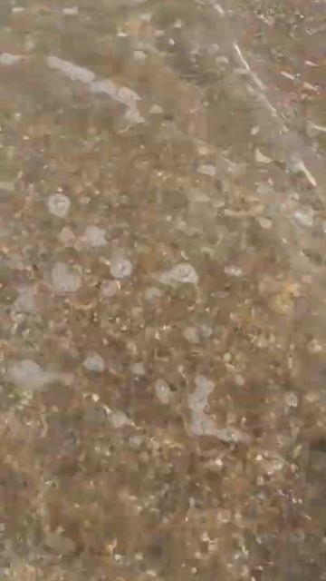 Анапа. Джемете. Пляж в районе отеля Sky Bridge. Июль 2023. смотреть онлайн