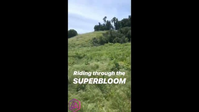 TALINDA'S INSTA STORIES #5