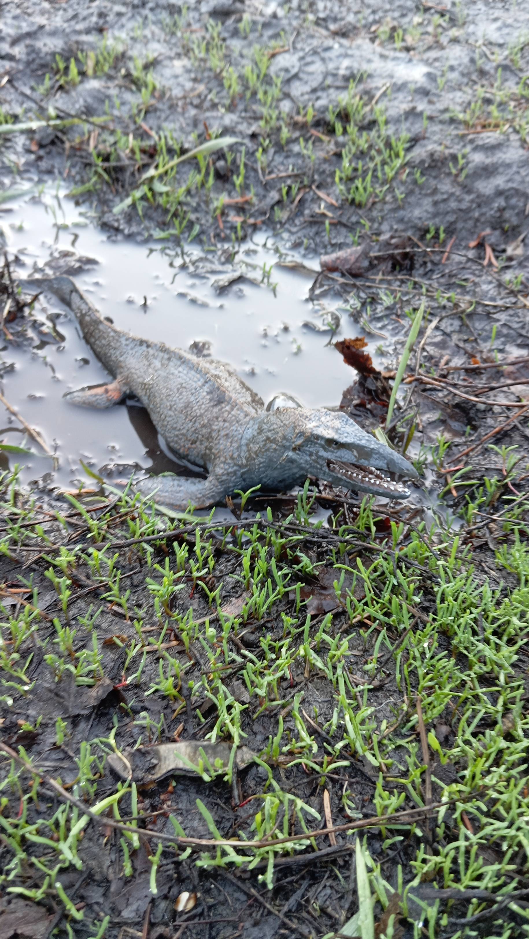 Динозавры. Дождь. Rain